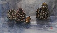 pic4s.jpg