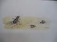 pic4s.jpg